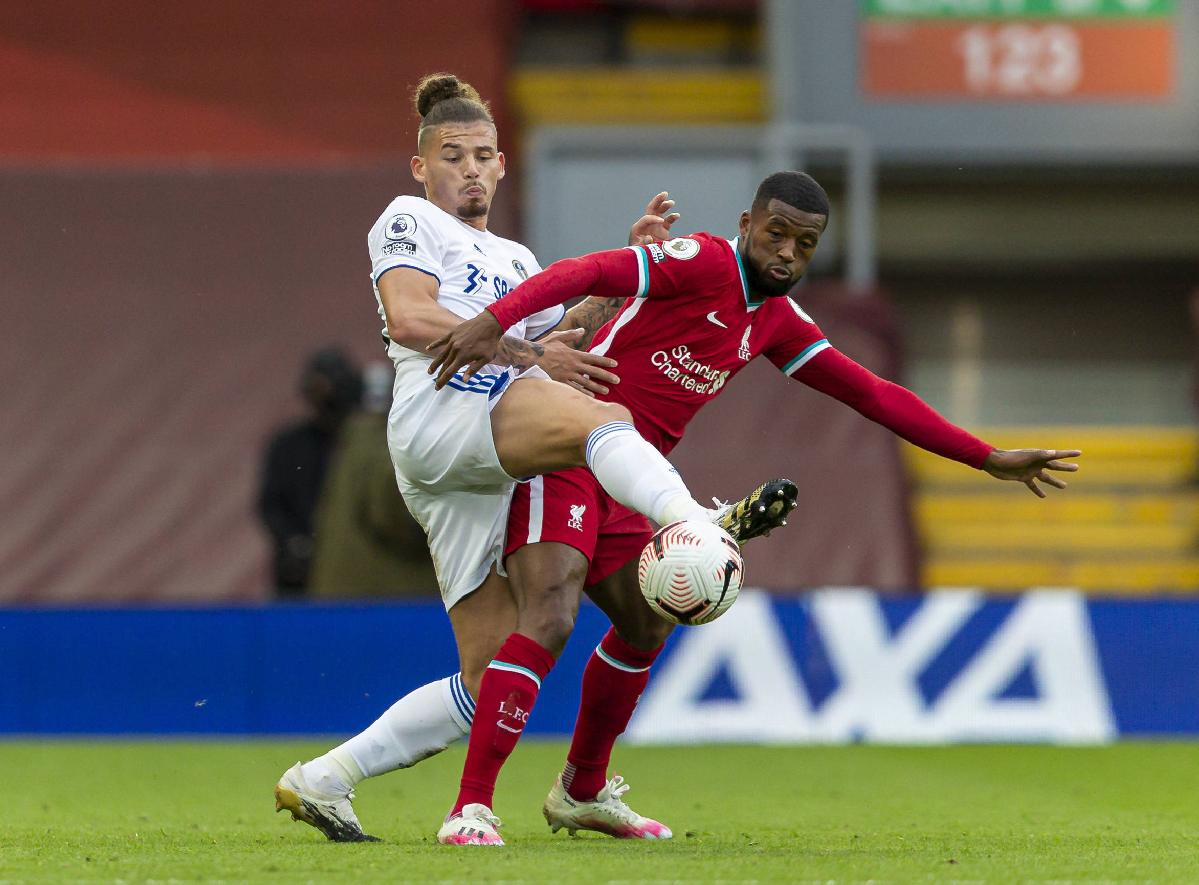 他们提供的 他们提供的