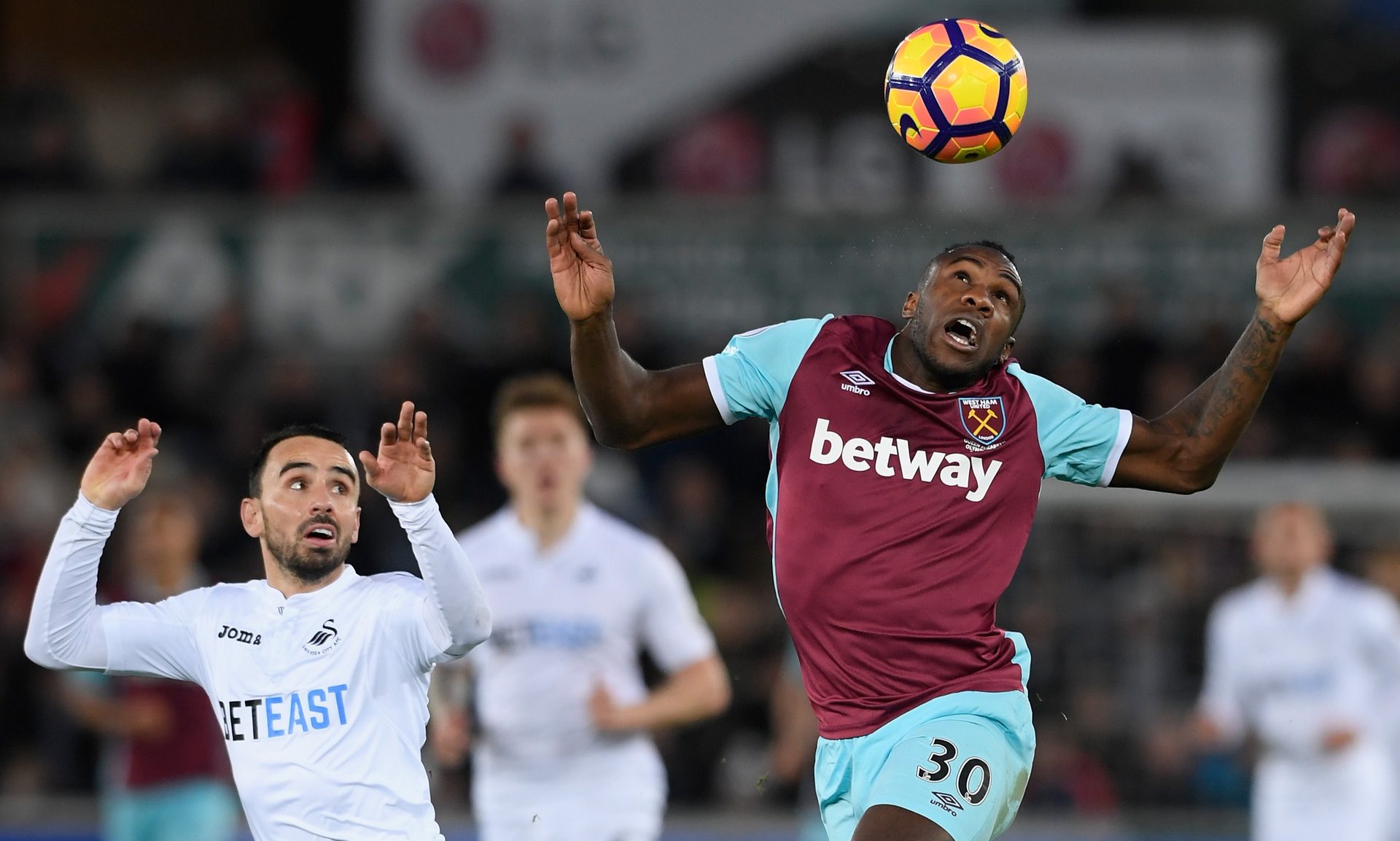 其他候选者 其他候选者