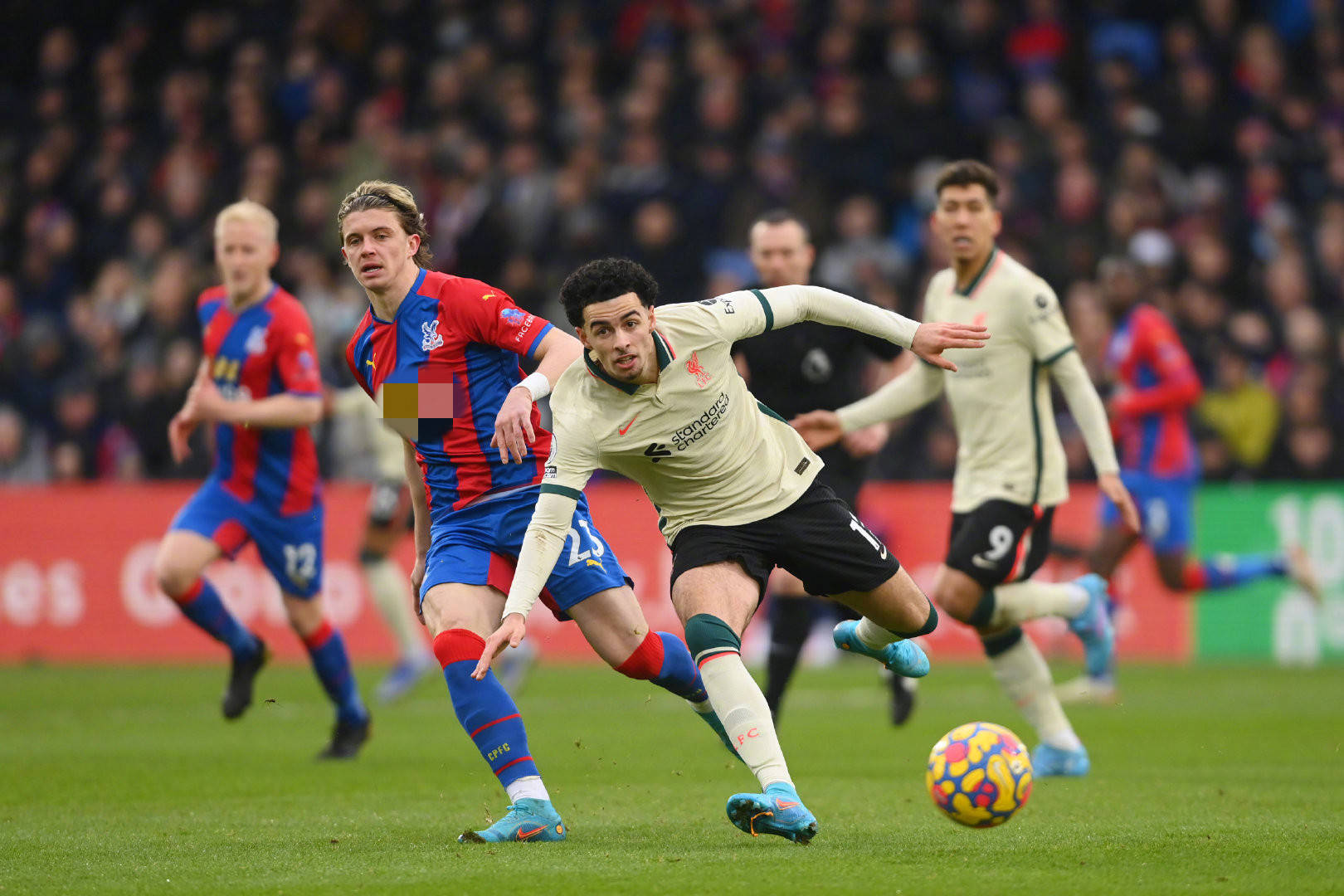 看到體育比 看到體育比